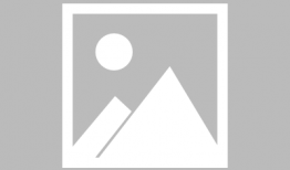 黄色网络视频,黄色视频的传播与危害