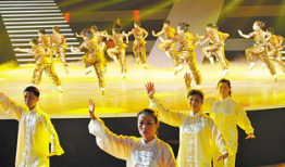 武术表演视频,武术表演视频中的精彩瞬间回顾