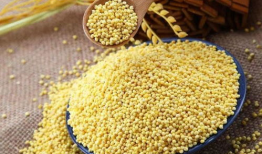 大黄米,传统美食的传承与创新之旅