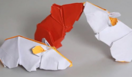 做手工的视频,跟随视频教程，轻松掌握手工艺术技巧